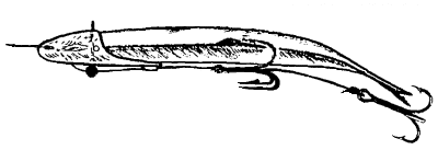 Anchovy tandem rigging