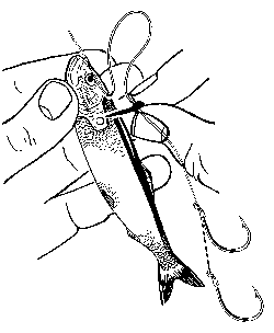 Krippled Minnow rigging step 1