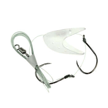 Barbless herring u.v.